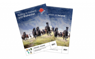 The Eldhestar Brochure for 2021 is here!
