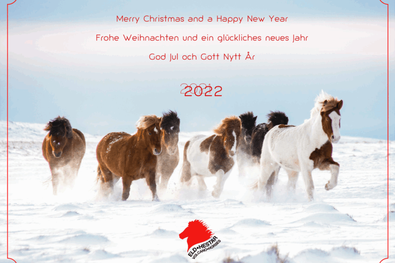 merry_C